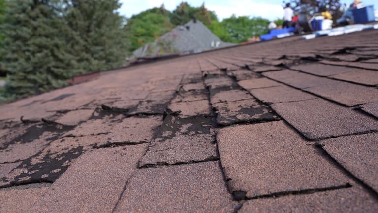Best Roof Installation  in Coalinga, CA