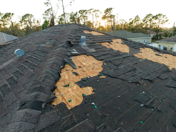 Best Chimney Flashing Repair  in Coalinga, CA