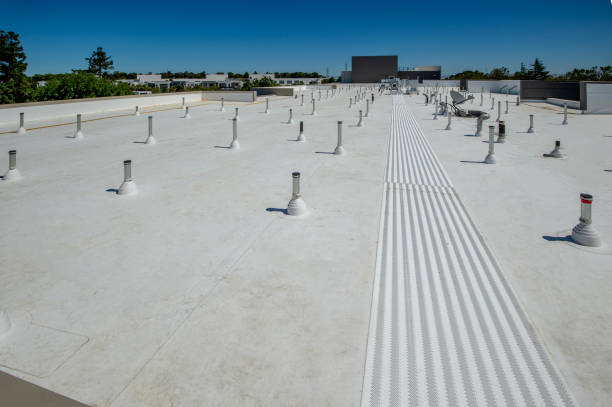 Best Roof Maintenance and Cleaning  in Coalinga, CA